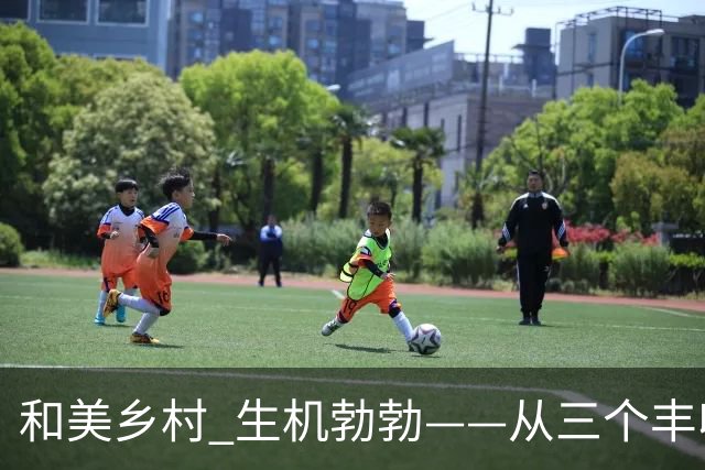 和美乡村 生机勃勃——从三个丰收故事看乡村全面振兴好势头